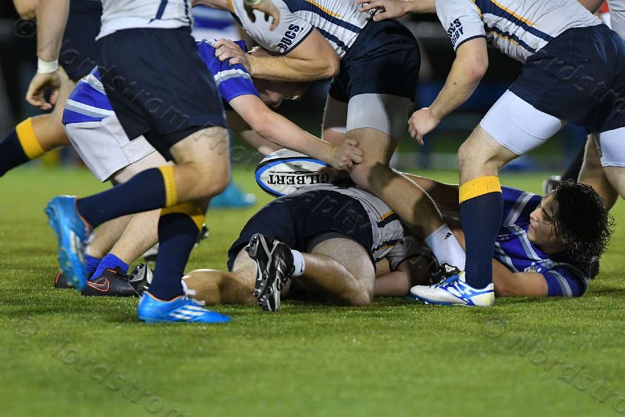 Wheaton Men\'s Rugby vs Mass Maritime.  Photo by Keith Nordstrom